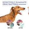Yegbong Tooth Cleaning Spray For Cats And Dogs, Tooth Stains Fresh Breath Pets Oral Care Spray